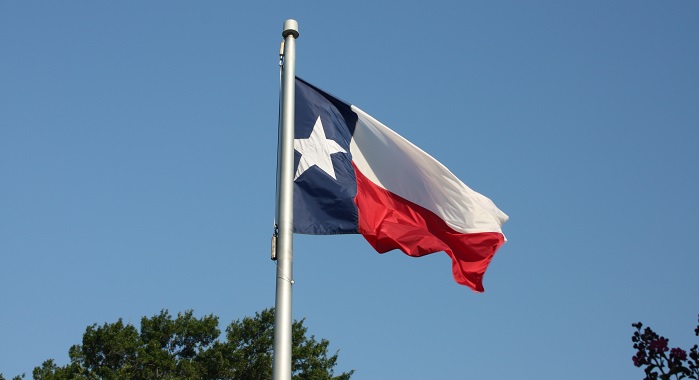 Texas Flag