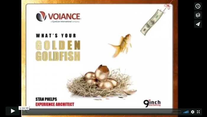 GoldenGoldfish700.jpg